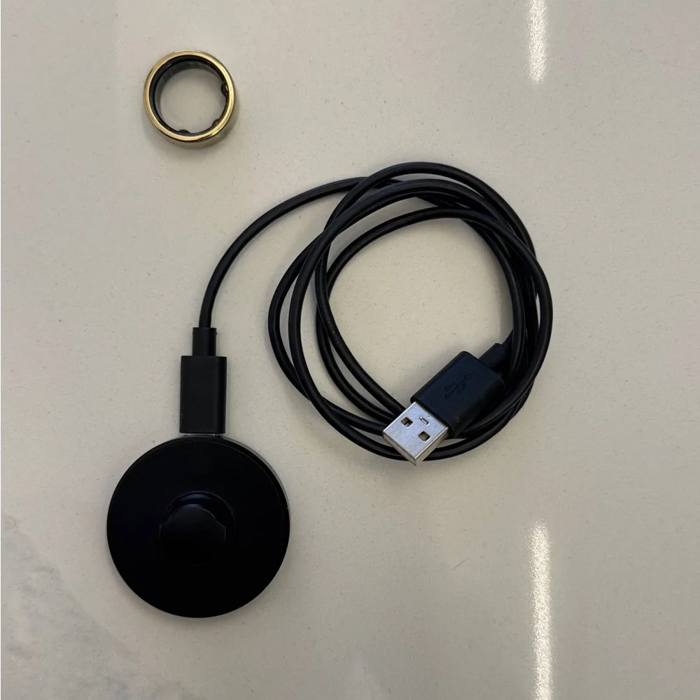 Oura Ring Horizon Gen 3 in Gold - Size 8